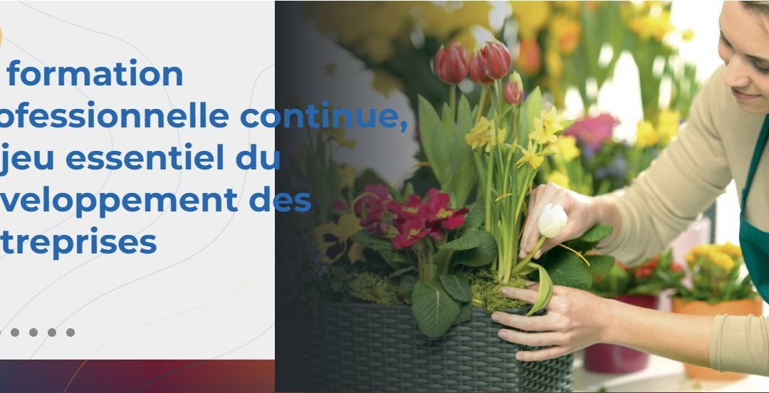 FAFCEA formation professionnelle
