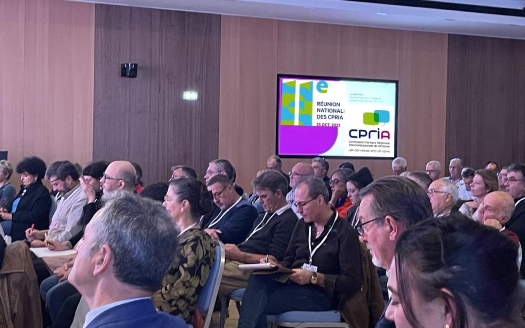 11ème Réunion Nationale des CPRIA - CNAMS U2P